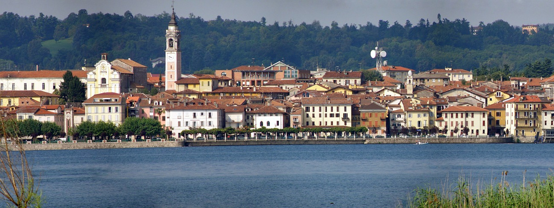 Arona