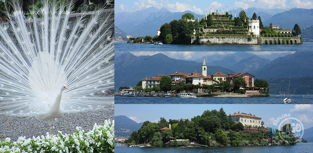 Giro delle Isole Borromee - Luglio 2017 (Fabi e Ale)
