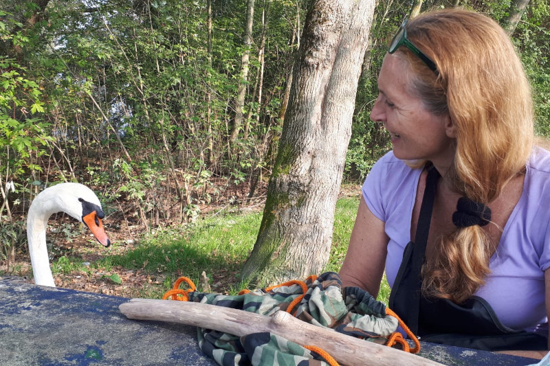 Il Trekking di Gabriella e Michela, 3 giorni a piedi sul Lago Maggiore!